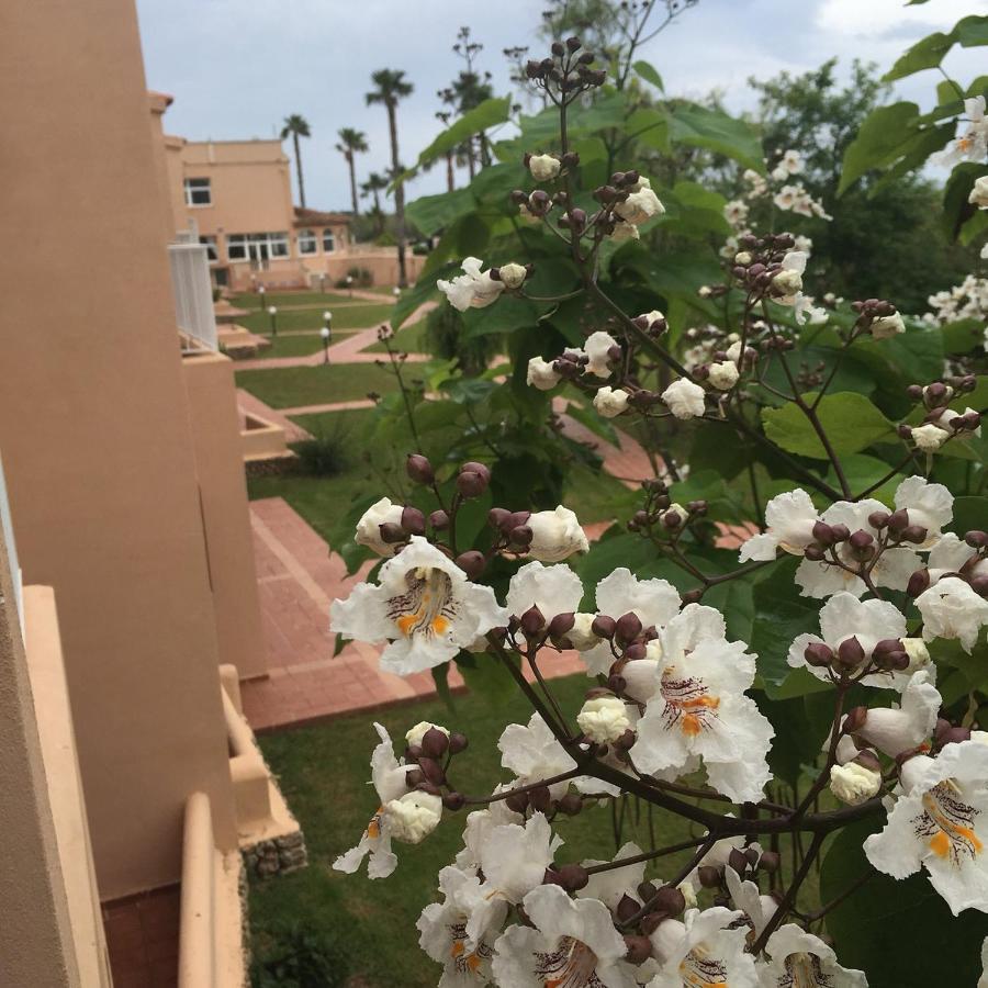 Arenas De Son Bou Hotel Exterior photo